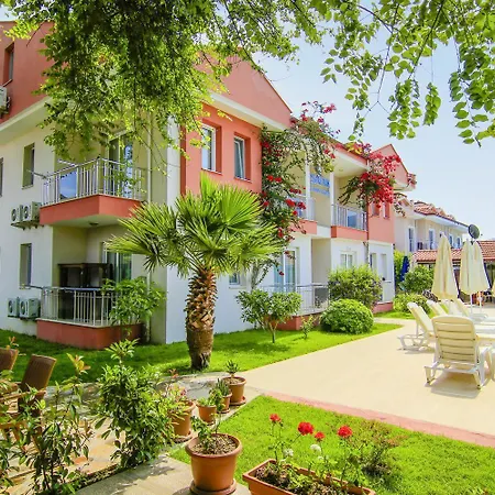 Отель Safak Oasis
